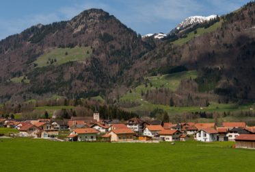 Appartement 5 pièces avec jardin à Grandvillard