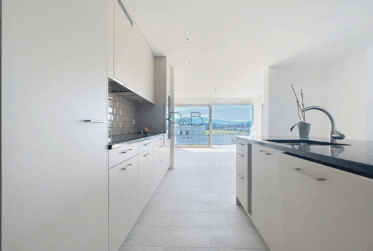 Magnifique appartement de 5.5 pièces neuf