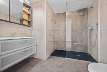 Maison individuelle de 10.5 pièces comprenant un 2.5 pièces indépendant à Riaz