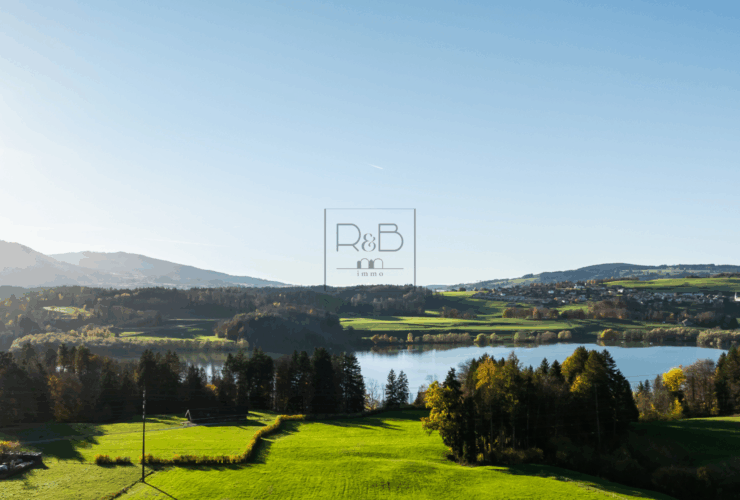 Magnifique appartement de 3,5 pièces avec vue sur le lac de la Gruyère