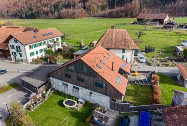 Appartement 3.5 pièces à Grandvillard