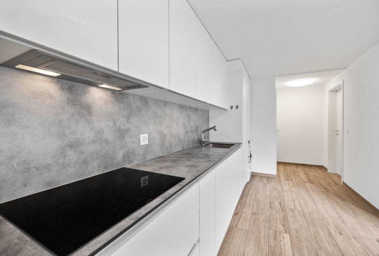 Magnifique 2.5 Pièces Neuf (74 m²)