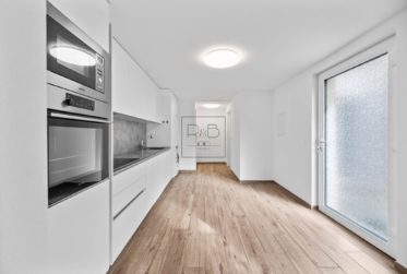 Appartement 2.5 pièces