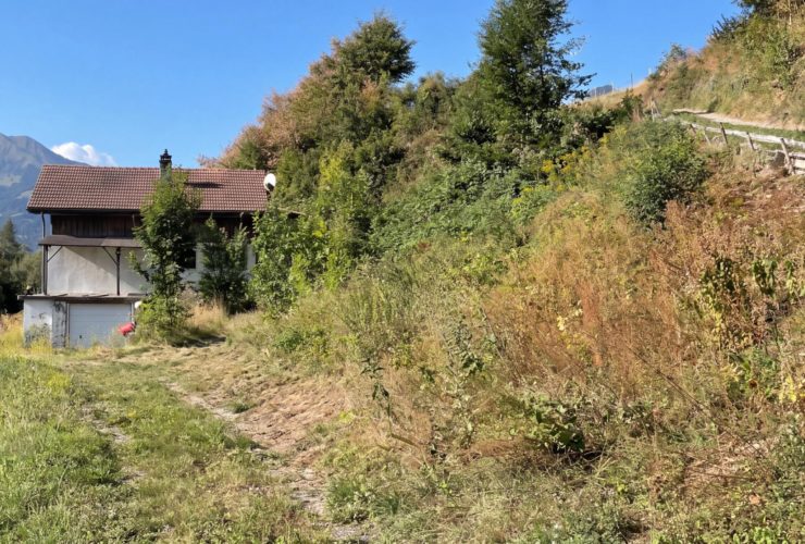 Maison à transformer en deux appartements, permis obtenu — Gruyères