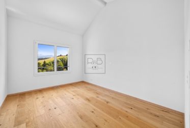 Villa avec vue lac au Bry, calme et à 15 min de Bulle et Fribourg