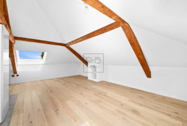 Loft rénové sous combles à Bulle